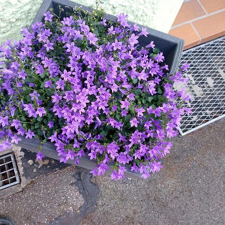 נויינשטאדט אם קוכר Ferienwohnung Am Kocher-Jagst Radweg מראה חיצוני תמונה