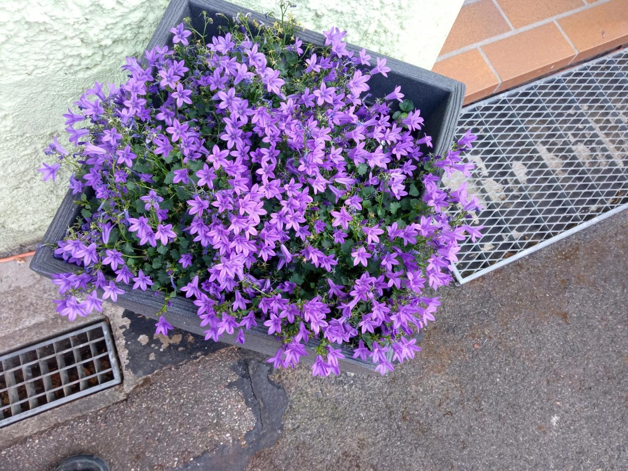 נויינשטאדט אם קוכר Ferienwohnung Am Kocher-Jagst Radweg מראה חיצוני תמונה